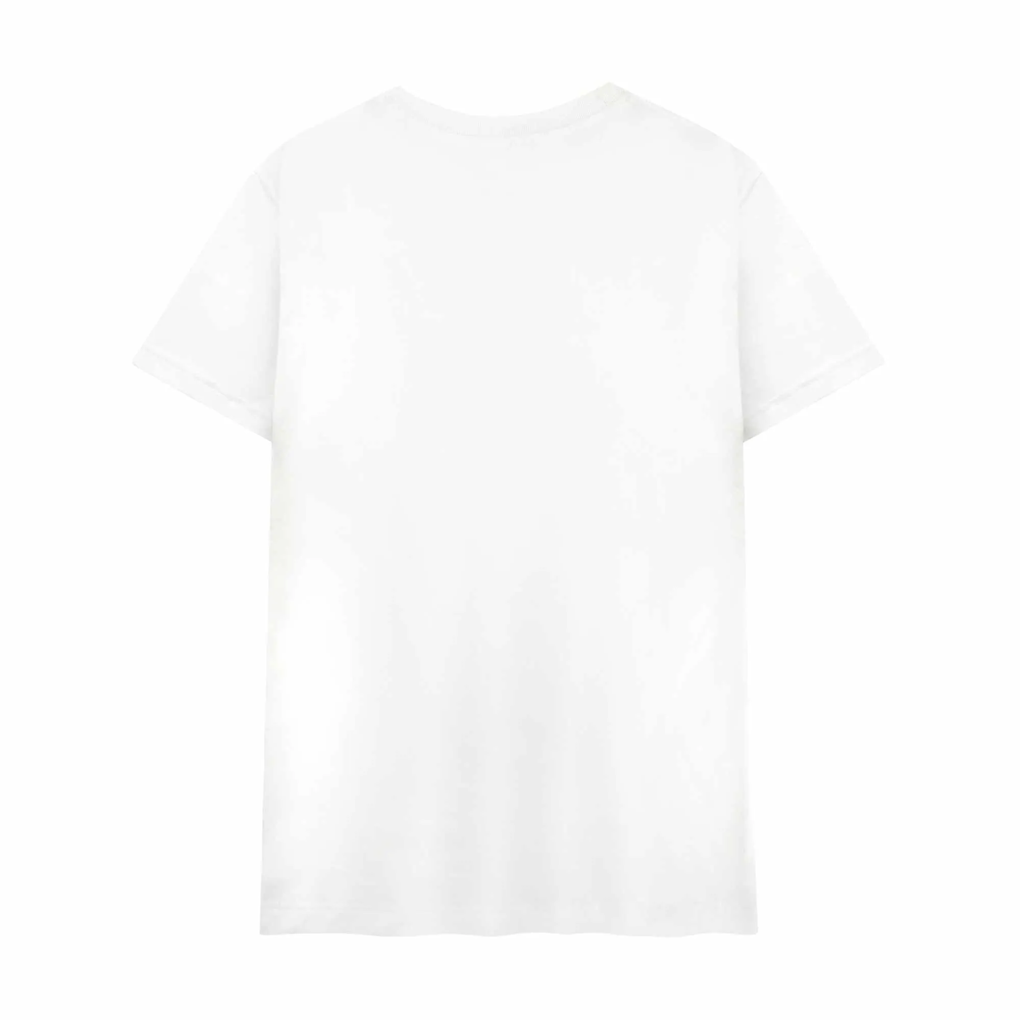 Dalix NASA Worm T-Shirt