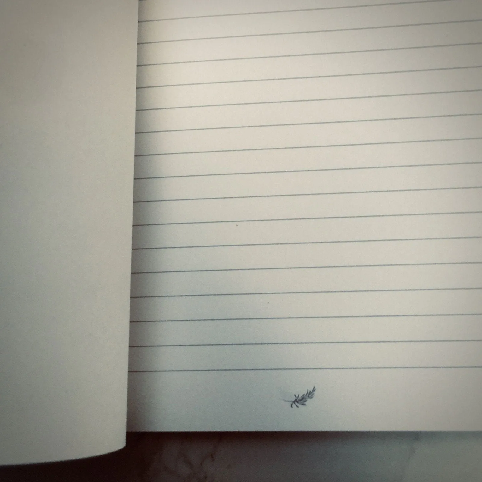 Hot Lips Journal