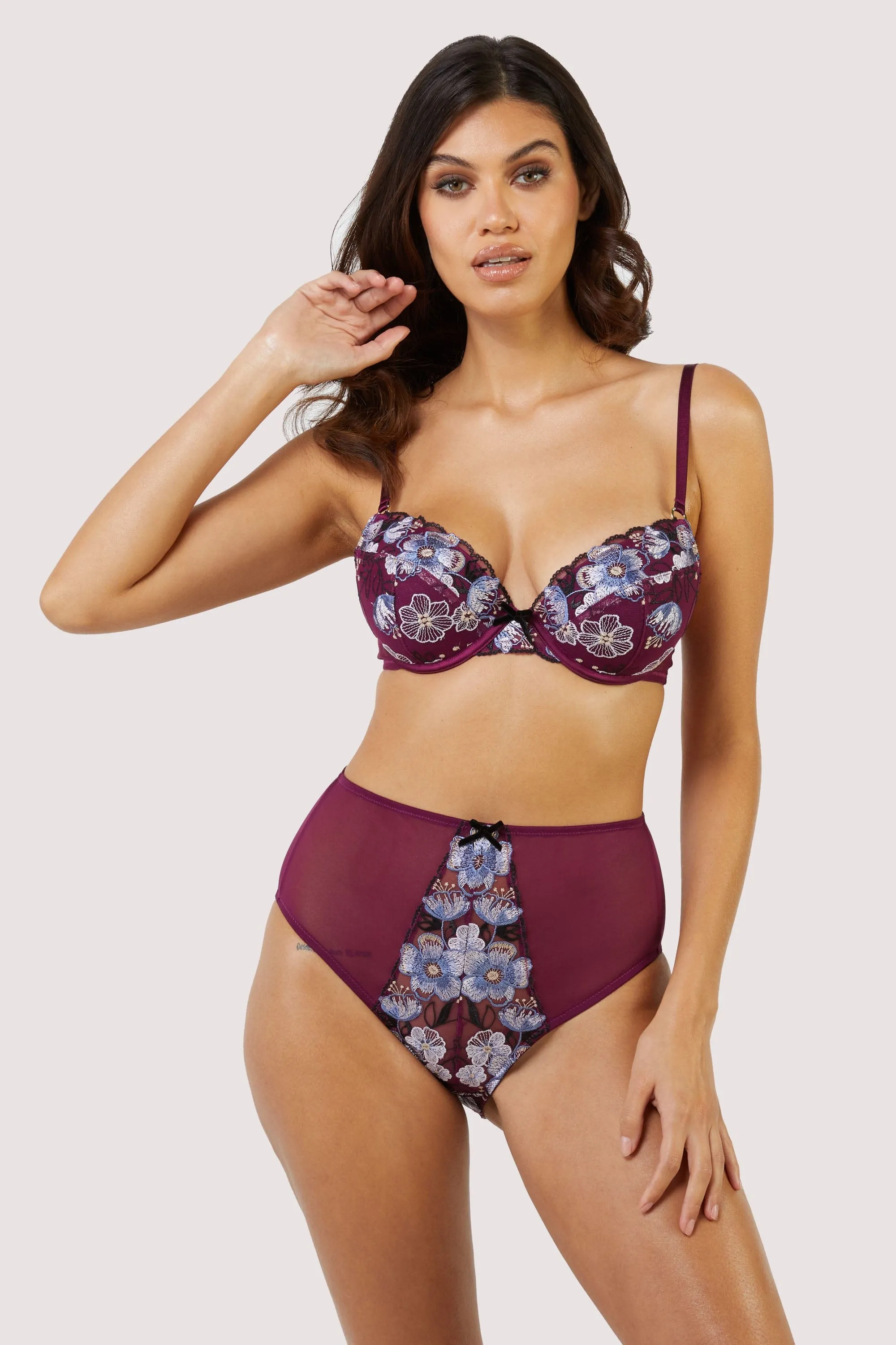 Joanna Burgundy Gold Embroidery High Waist Brief