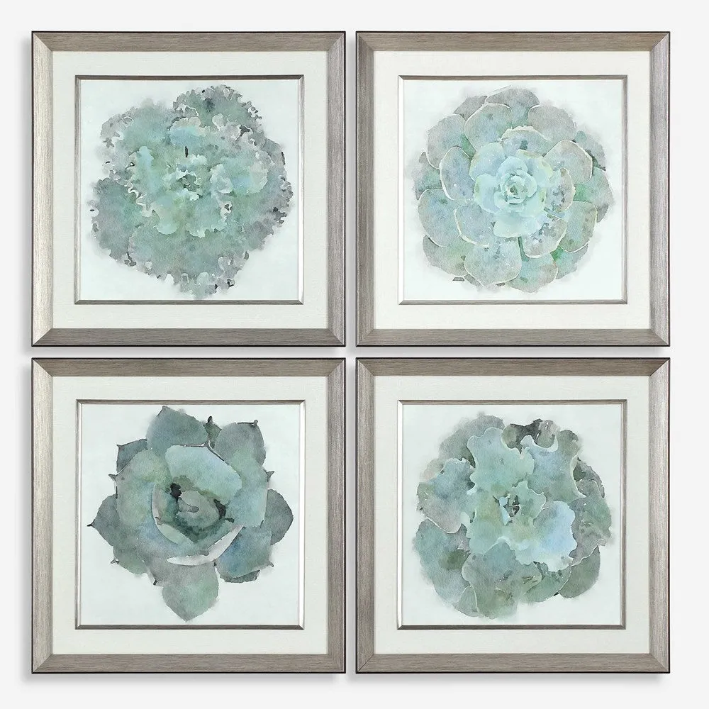 NATURAL BEAUTIES FRAMED PRINTS, S/4
