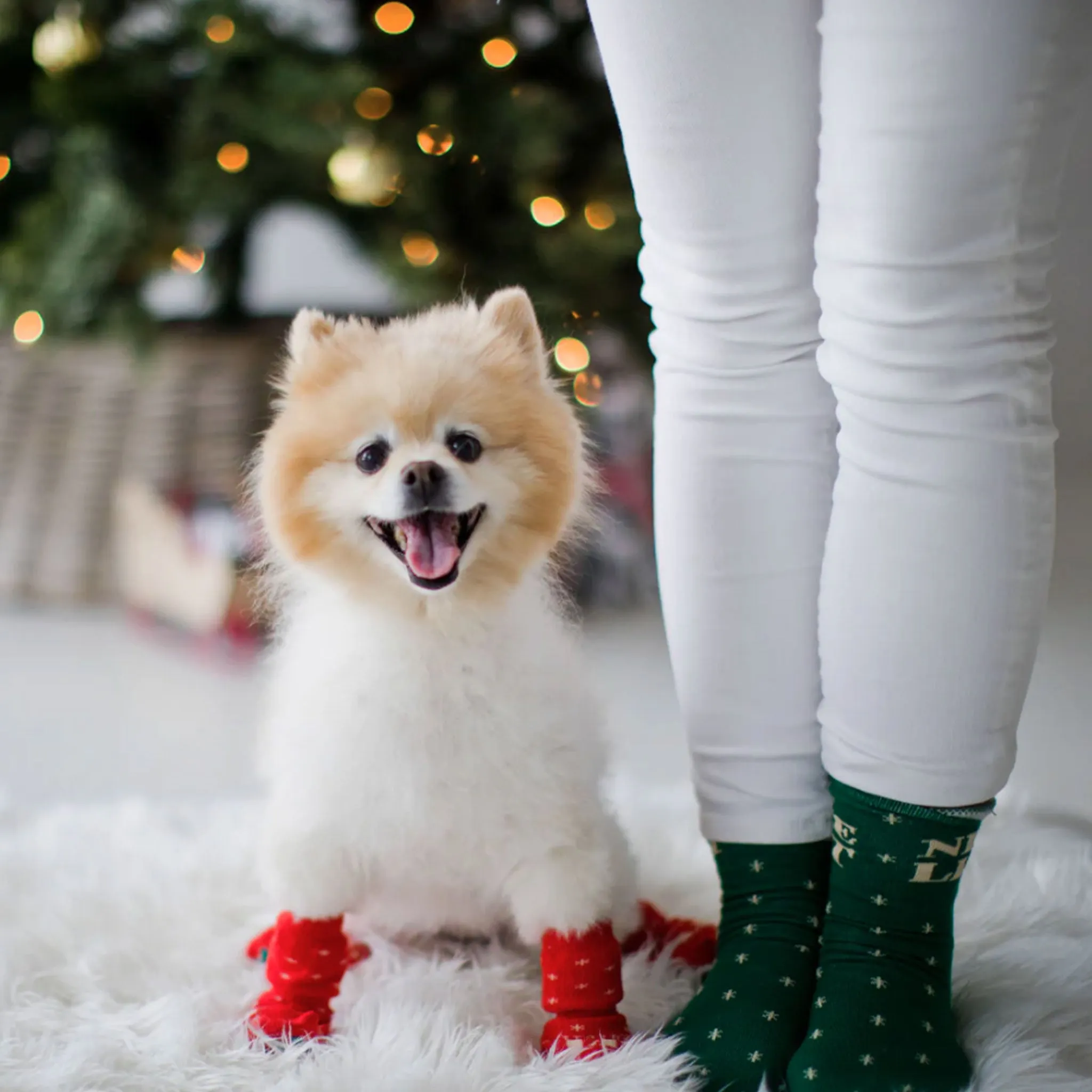 Pearhead Naughty & Nice List Human and Dog Sock Set - 2 Pack