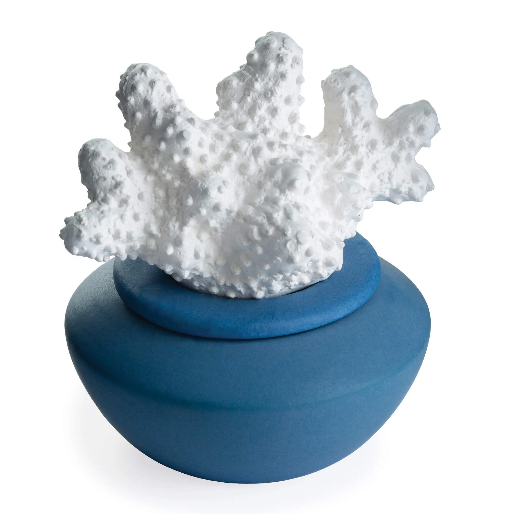 Porcelain Coral Essential Oils Diffuser Aromatherapy Airomé