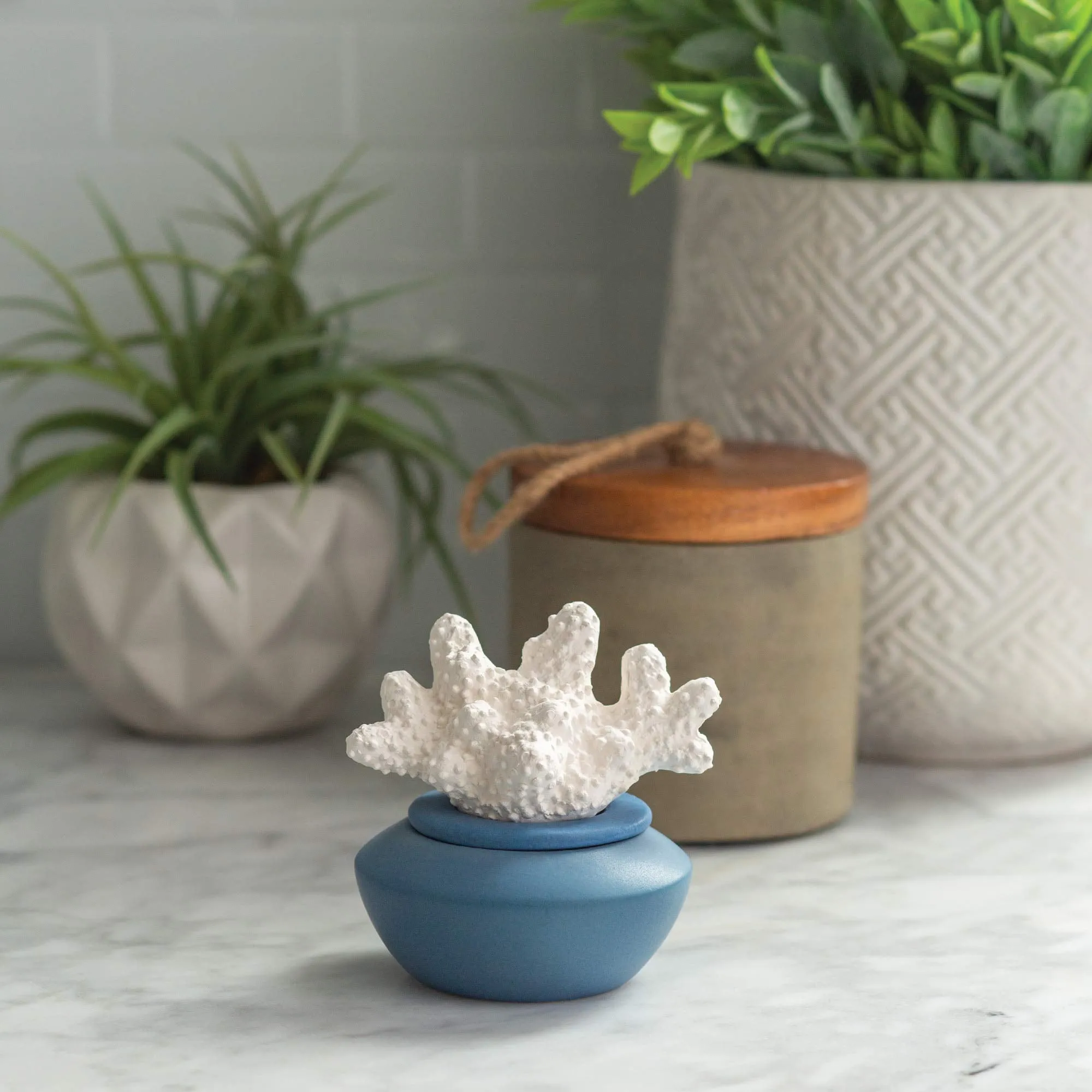Porcelain Coral Essential Oils Diffuser Aromatherapy Airomé