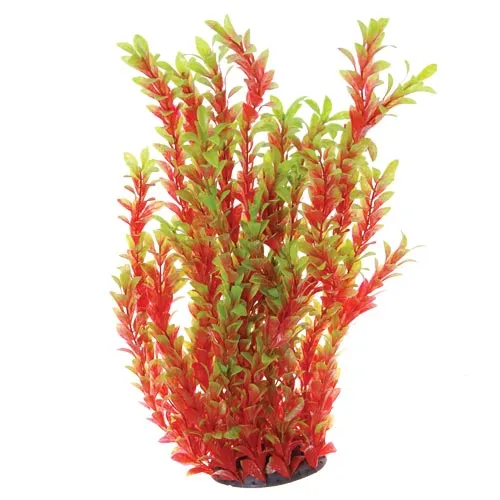 Underwater Treasures Red Ludwigia Plant