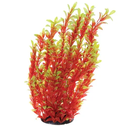 Underwater Treasures Red Ludwigia Plant